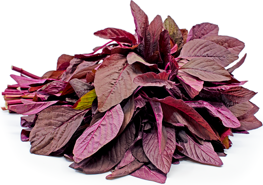 Amaranthus Red Leaves 500 Gms